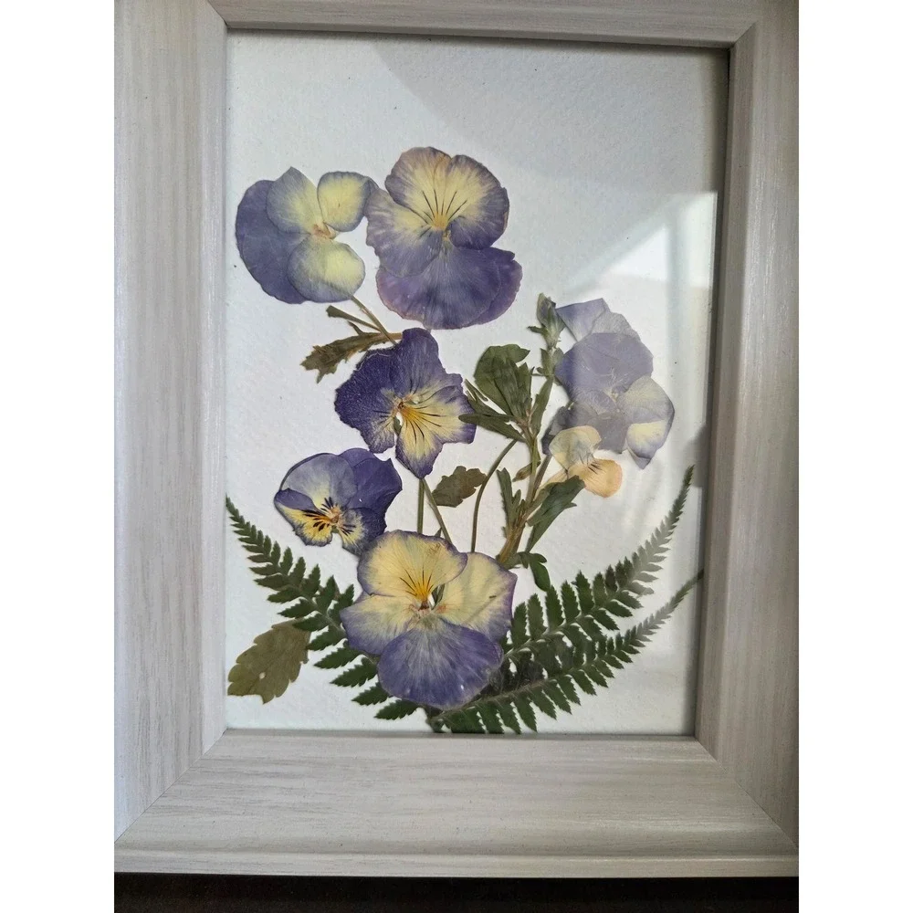 Pressed Blue Pansies and Ferns Botanical Art White Wood Frame 5x7 Wall Decor
